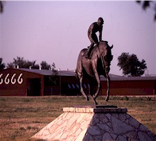 Texas' 6666 Ranch benefits from Top of the Rockies alfalfa cubes fed to their horses.